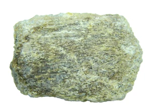 Saurópodo Jurásico Dinosaurio Procedencia Huesa: Desierto del Sahara, Marruecos 25,58 gramos - Imagen 1 de 5