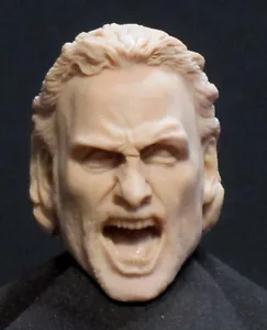 A-75 Rick Grimes "WALKING DEAD" RESIN HEAD SCULPT Action figures 1/6 scale - Imagen 1 de 3
