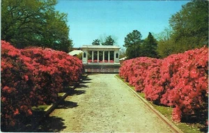 Postal móvil de Azalea Time Soldiers and Sailors Memorial Park Alabama sin publicar - Imagen 1 de 2