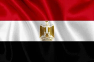 EGYPT FLAG 5' x 3' Egyptian Flag Africa Flags African Flags Polyester 2 Eyelets - Picture 1 of 12