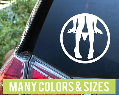 SSP VINYL Panty Dropper Circle Car Truck Vinyl Decal Sticker JDM Import Domestic