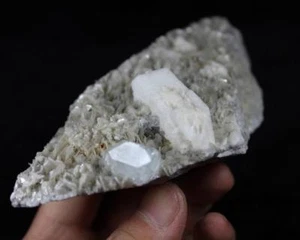 270g 132mm Big Albite & Beryl Aquamarine crystal w/ Muscovite China CM631589 - Bild 1 von 7