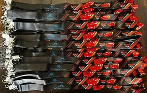 100 neue Disney Disneyland Cars Land Schlüsselbänder - Bild 1 von 4