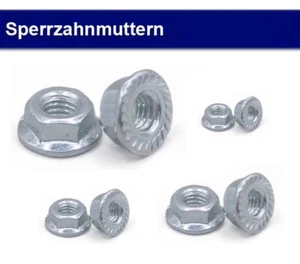 Tuerca de diente de bloqueo tuerca de brida M4 - M20 acero inoxidable V2A / acero galvanizado - DIN6923 - Imagen 1 de 2