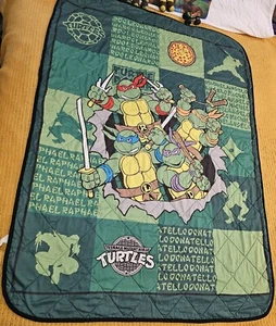 TMNT Teenage Mutant Ninja Turtle Blanket Pillowcase Plush Figures Truck GIFT SET - Picture 1 of 24