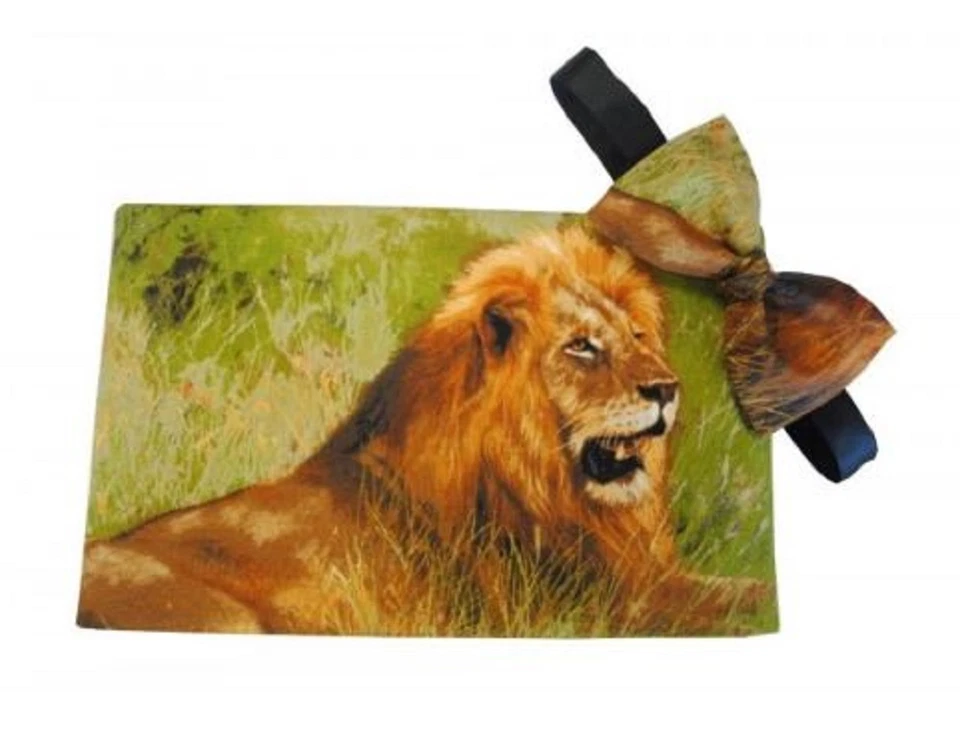 Juego de faja y pajarita Lion on Safari Foto 1 de 1