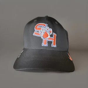Nike Sam Houston State Hat Dri-fit Bearkats Classic 99 One Size Swoosh Flex - Picture 1 of 9