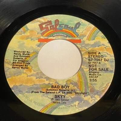 SKYY: Bad Boy (Stereo) / (Mono) 7" 45 - Salsoul S7 7057 DJ - Soul Foto 1 de 2