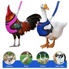 Mesh Pet Vest Breathable Roosters Matching Belt Upgraded Hens Leash  Small Pet