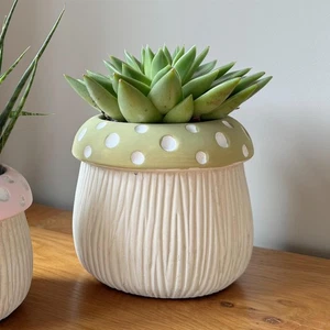 Medium Green Mushroom Planter 14cm Indoor Toadstool - Picture 1 of 3