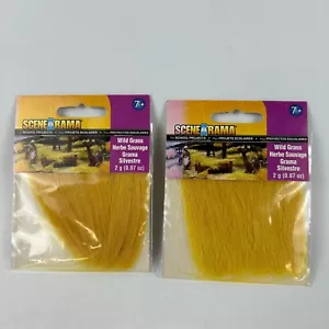 2 Pack Woodland Scenics SP4186 SceneARama Wild Grass for School Projects - 2g - Picture 1 of 2