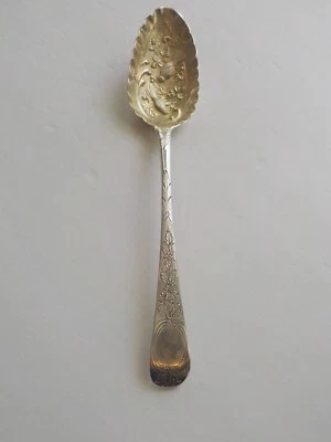 Cuchara BERRY inglesa georgiana de plata de ley, c. 1809, decoración inusual Foto 1 de 4