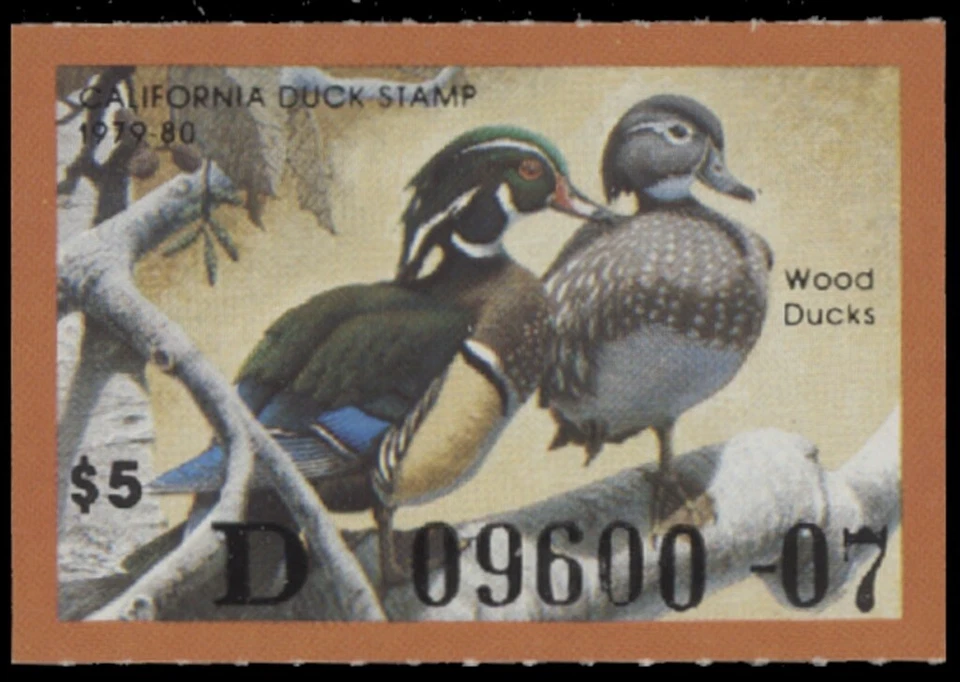 1979  California State Duck Stamp. Mint Never Hinged. Original Gum   - Image 1 of 1