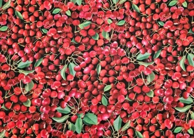 Benartex - Cherry Hill Packed Cherries Quilting And Crafting Fabric 🍒 - Image 1 of 3