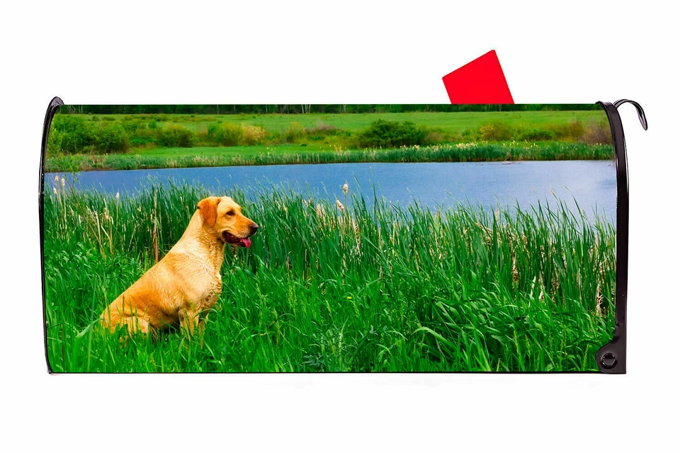 Yellow Lab Labradore Dog Vinyl Magnetic Mailbox Cover Made in the USA - Изображение 1 из 1