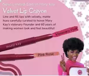NIB Mary Kay Limited Edition " VISIONARY PINK " Velvet Lip Crayon - HTF - Picture 1 of 2