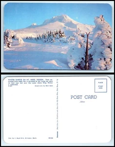 OREGON Postcard - Mt Hood, Winter Sunrise Q10 - Picture 1 of 1