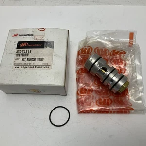 NEU INGERSOLL RAND KIT, ABBLASVENTIL 37974318 - Bild 1 von 3