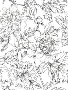 Black Sketching Flroal & Bird Peel and Stick Wallpaper 17.3"x118"for Living Room - Picture 1 of 8