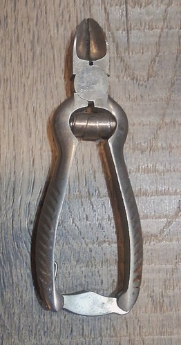 Foto 1 di 6