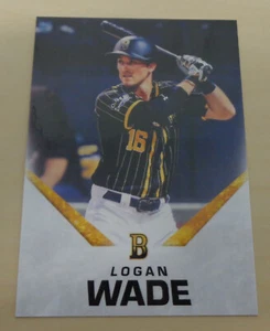 2019/20 Brisbane Bandits (Aussie Baseball) LOGAN WADE Card - Fort Myers Miracle - Foto 1 di 2