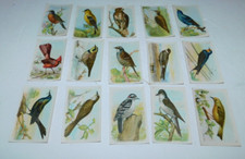 NEAT VINTAGE CHURCH & DWIGHT USEFUL BIRDS OF AMERICA 15 CARD SET 5TH SERIES