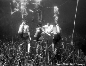 Filmación bajo el agua en set de película "La venganza de la criatura" (5) Florida - 1954 - Imagen 1 de 1