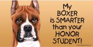 My Boxer is Smarter Than Your Honor Student Magnet 4x8 refrigerator car dog - Picture 1 of 1