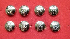 LOT OF 8 ANODISED TUNIC BUTTONS 18MM ROYAL SCHOOL OF MILITARY MUSIC KNELLER HALL - Picture 1 of 1