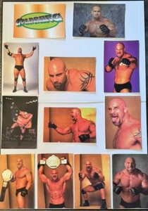 Bill Goldberg Wrestling Card Lot - Panini WCW/NWO Superstars - 4x6 Karten - Bild 1 von 2