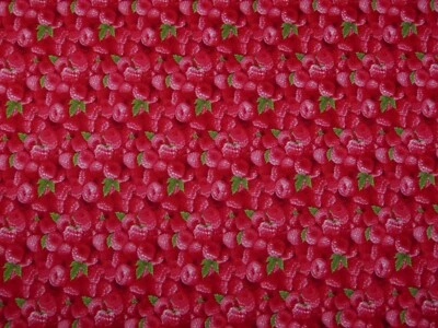 Tela de frambuesa 100 % algodón Elizabeth's Studio Food por yarda - Hecha en Corea Foto 1 de 4