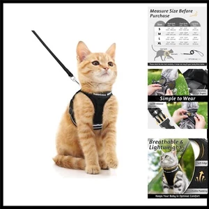 Ausbruchsicheres Katzengeschirr mit Leine - Verstellbare Weste für kleine Katzen - Bild 1 von 1
