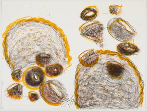 Original signed RARE Dale Chihuly Double Vision HUGE w documentation - Picture 1 of 6