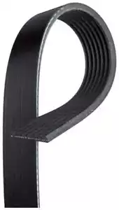 Serpentine Belt-Premium OE Micro-V Belt Gates K070901 - Picture 1 of 2