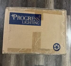 Progress Lighting Riverside Collection 2-Light Chandelier P4229-88