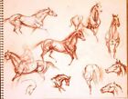 #1 Maureen Love Original Sketches Multiple Race Horses