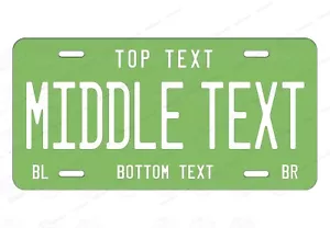 Any State Dollar Bill Color License Plate TAG Personalized Novelty Auto ATV Bike - Picture 1 of 25