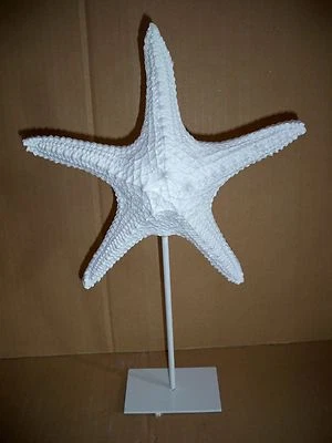  Seestern Weiß Dekofigur  Impressionen Living  Metall + Polyresin 38x23 cm  - Bild 1 von 4