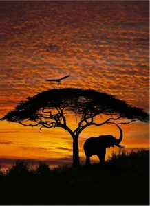 ELEFANT SONNENUNTERGANG 24 x 36" POSTER WANDDEKO NEU 0279 - Bild 1 von 1