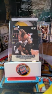 2022 Upper Deck AEW UD Canvas Chris Jericho #C36 - Picture 1 of 1