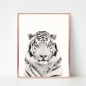 tiger print PICTURE  WALL ART A4 unframed black white nursery safari wall art