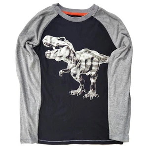 Arizona Boys Black & Gray Long Sleeve Dinosaur T-Rex Shirt Large 14-16 - Picture 1 of 2