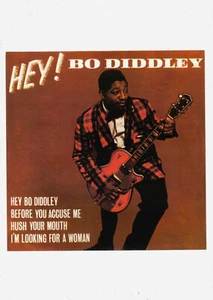 BO DIDDLEY. A3 POSTER. Repro. R&B, Rock'n'roll, Blues. - Bild 1 von 1