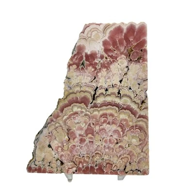 Rhodochrosite, Argentina, slab, cabbing rough, #R-5895 - Image 1 of 4