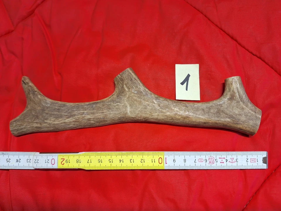 Geweih Rentier Hundekauknochen für Hunde ca.20-30kg zur Auswahl - Bild 1 von 1