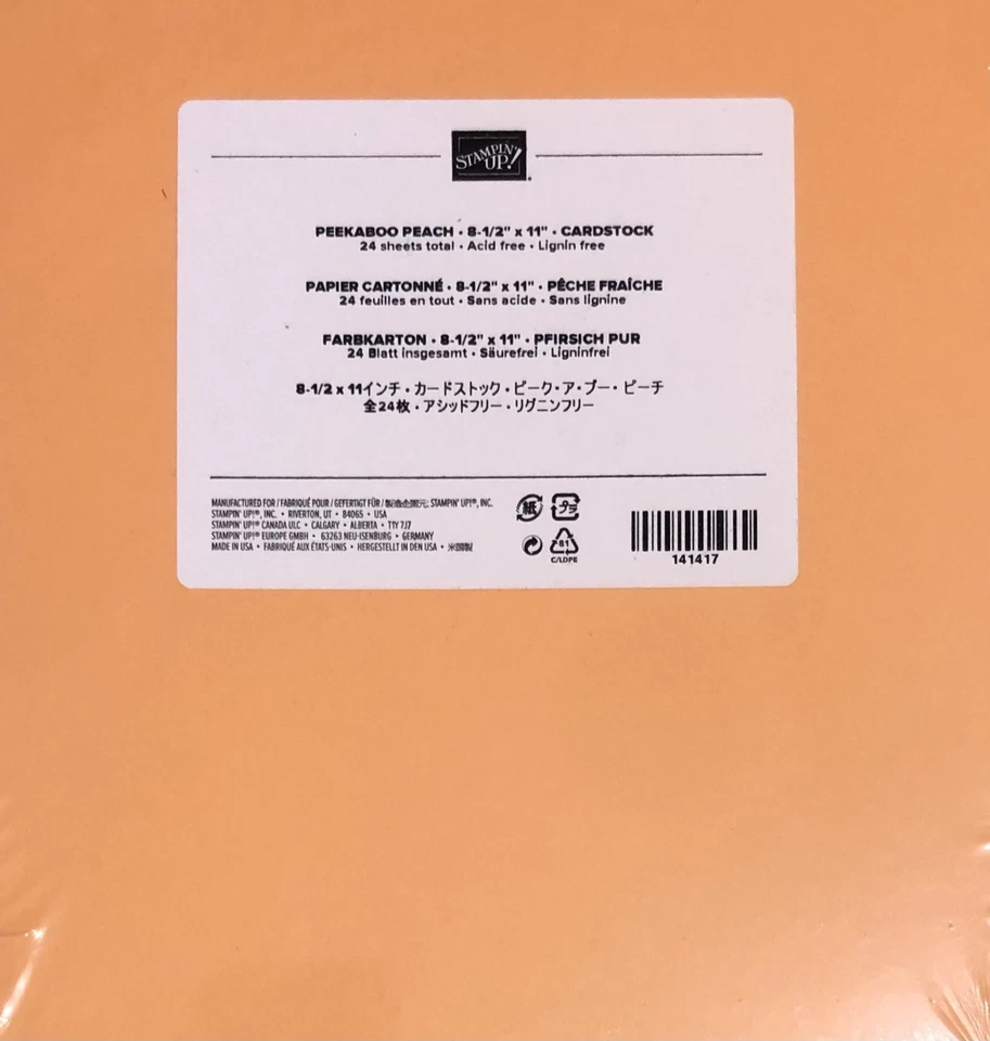 Cartulina Estampación PEEKABOO PEACH 8 1/2 x 11 - 24 Hojas - Naranja Retirado-ish Foto 1 de 1