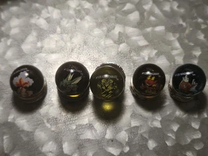 Pokemon Lot #118 Golden #123 Scyther #125 Electabuzz #126 Magmar #129 Magikarp - Bild 1 von 1