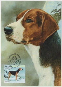 Aland Maxi 2015, Finnish Bracke, Hunting dog , Mint - Picture 1 of 1