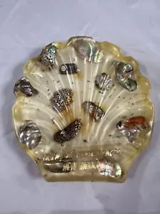 Vintage Sea Shell Shaped Lucite Resin Acrylic Soap Dish New Mexico Kitschy - Picture 1 of 7
