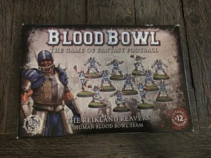 Warhammer Blood Bowl Human Reikland Reavers Team OPENED AND USED - Picture 1 of 3